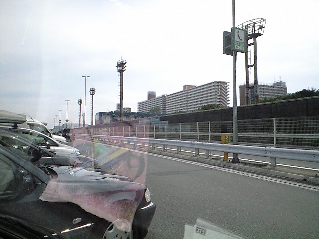 CA390361
